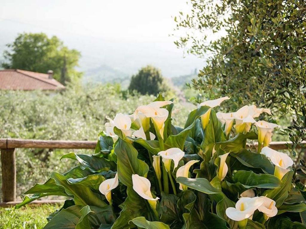 Al Vecchio Metato Holiday home *