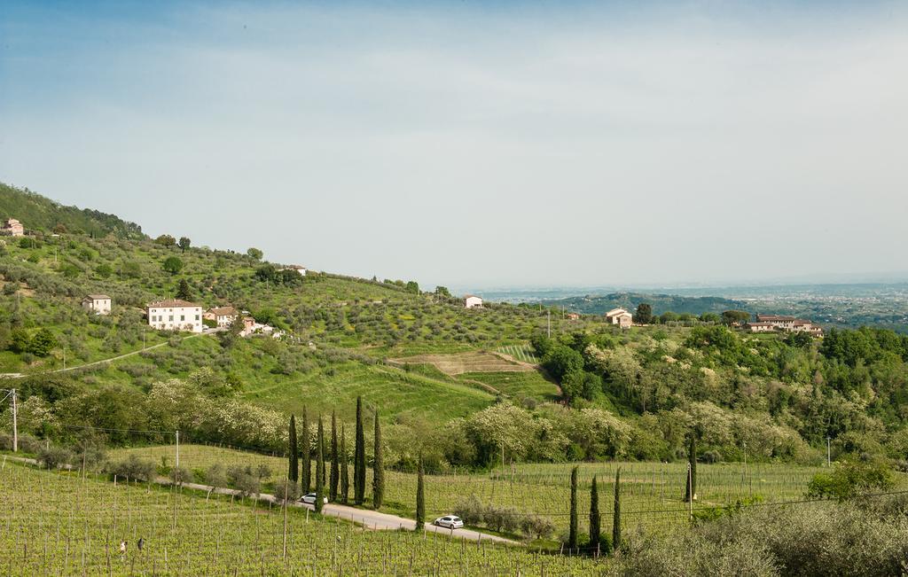 Ferienhaus Al Vecchio Metato